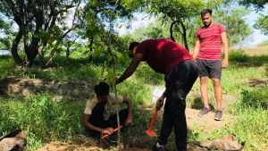 What Is the Best Time to Plant a Tree in India?