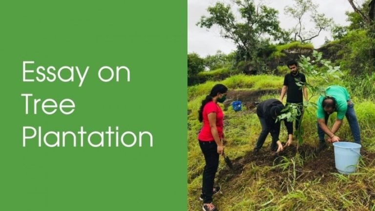 essay on tree plantation 200 words