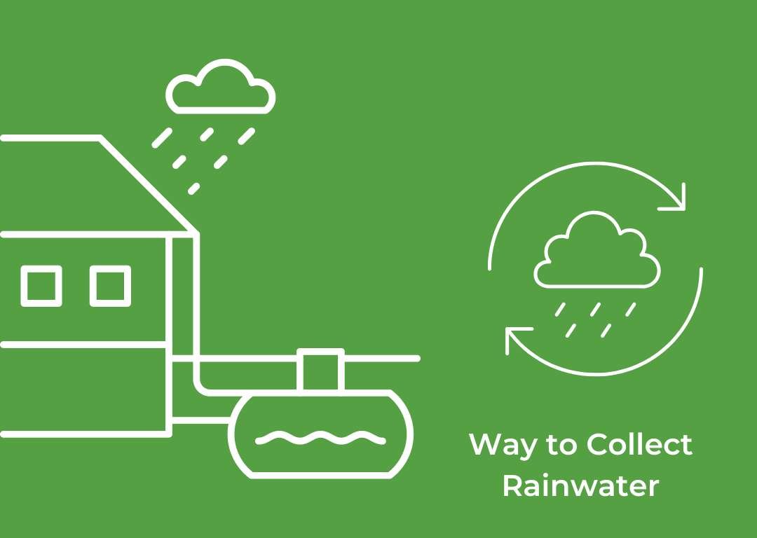 rainwater harvesting case study