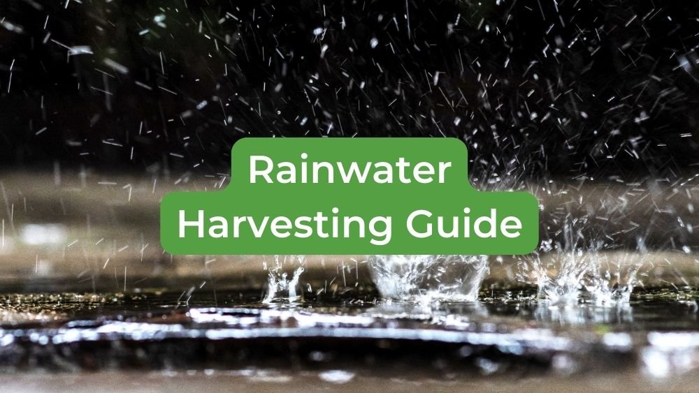 Rainwater Harvesting Guide: Process, Statistics, benefits, Case Studies