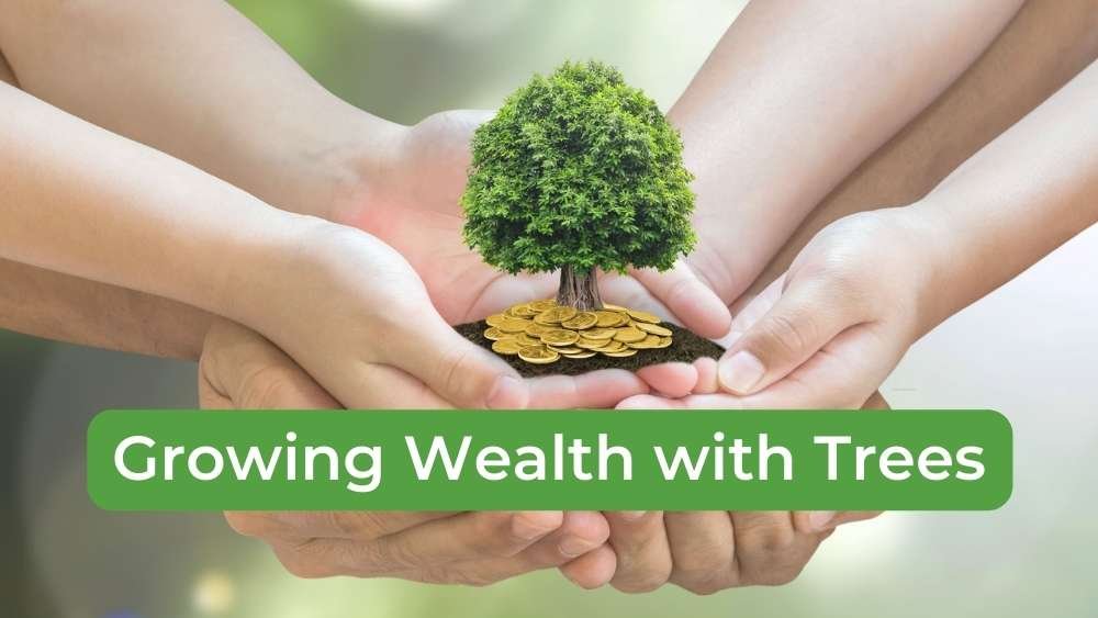 Growing Wealth with Trees