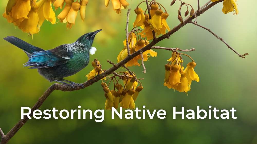 7 Critical Reasons Why Restoring Native Habitat is Important in India