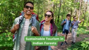 Sustainable Tourism in Indian Forests