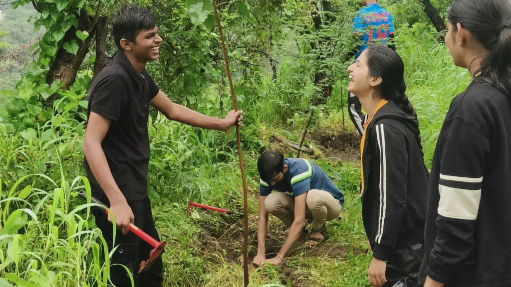 Tree Plantation Drives