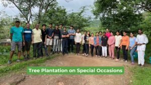 Tree Plantation on Special Occasions