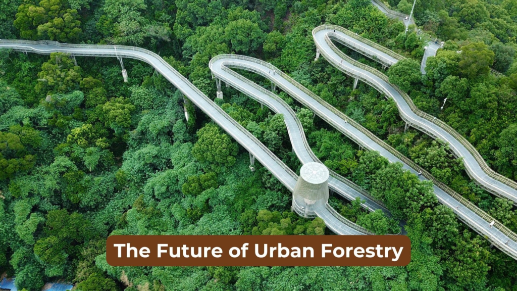 The Future of Urban Forestry