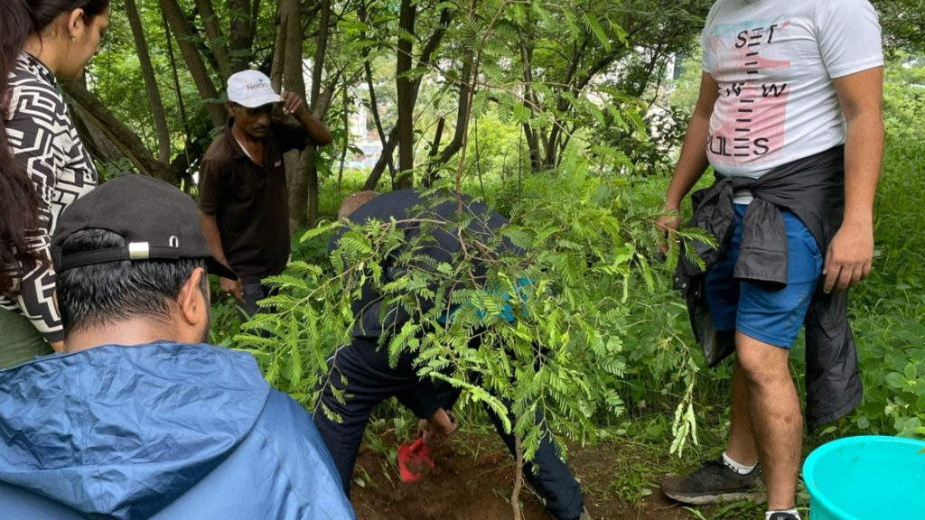 Corporate Tree Plantation