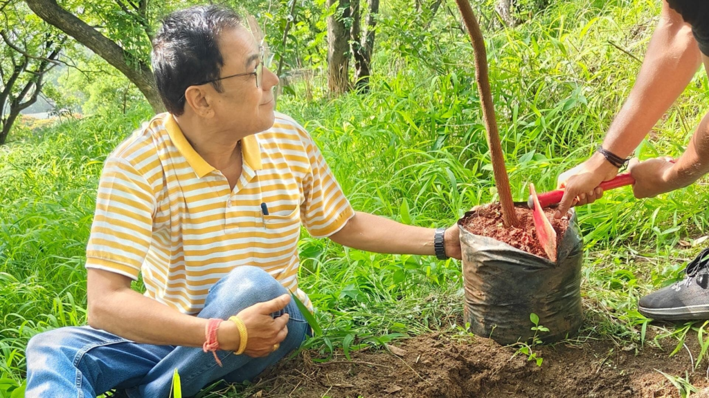 Memorial Tree Plantation