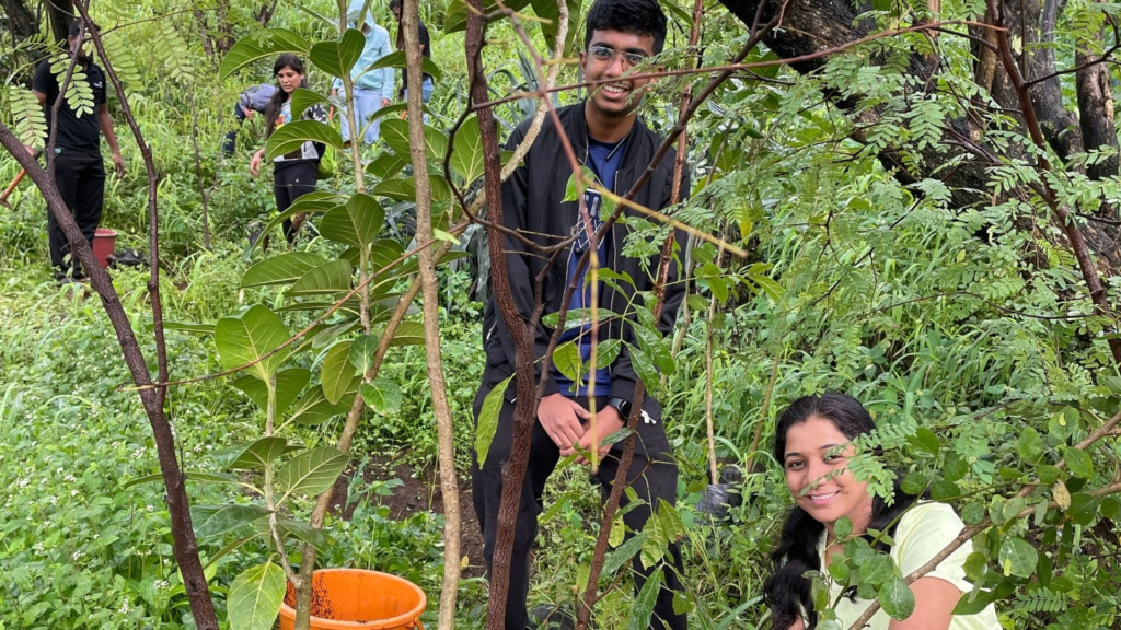 Wedding Tree Plantation Ceremony