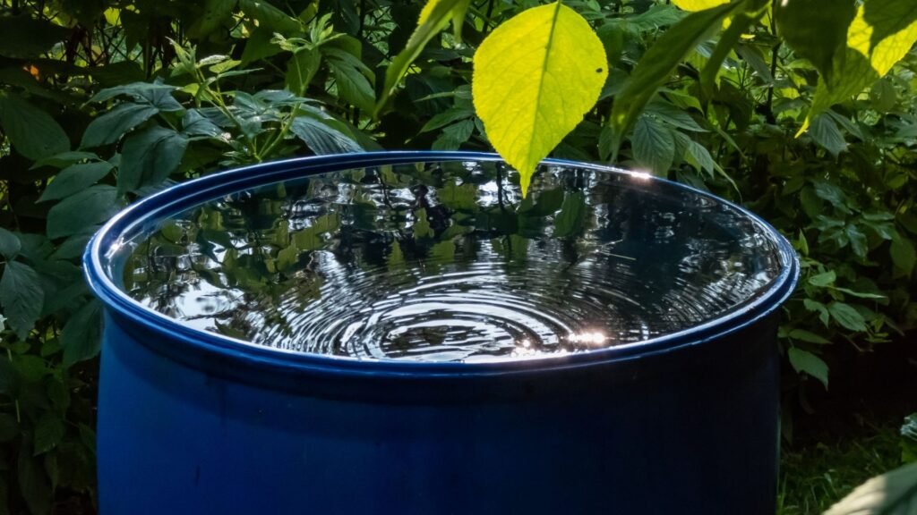 Rainwater Harvesting