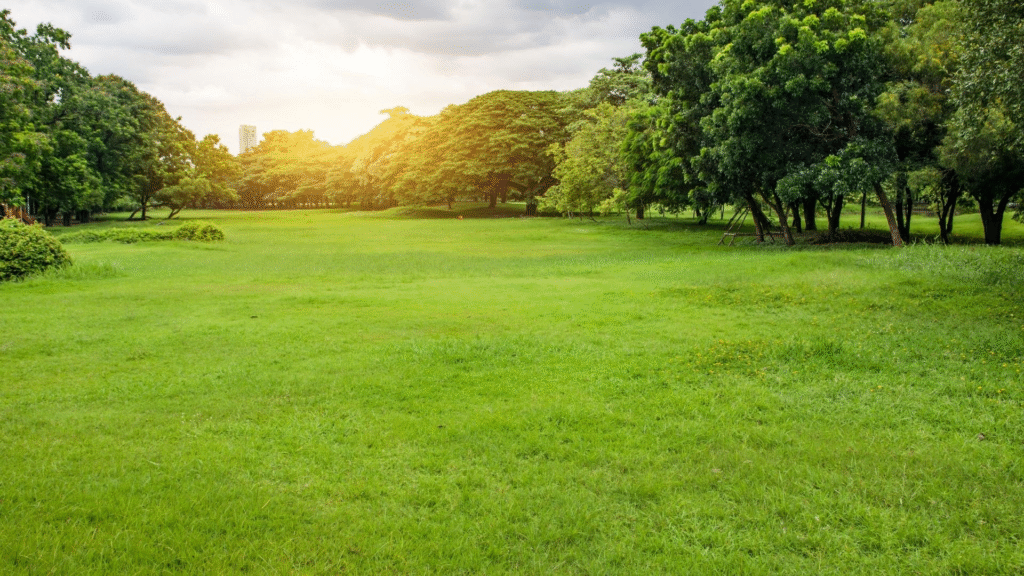 Urban Parks