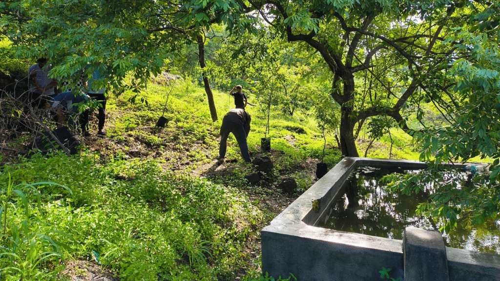 Innovative ‘Blue-Green’ Solutions