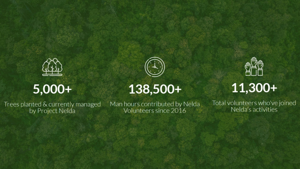 Tree Plantation Information, Blogs, Donations, & CSR - Project Nelda 