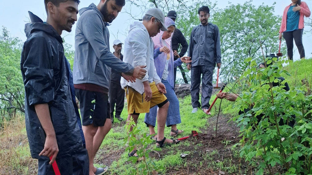 Community Tree Ceremonies