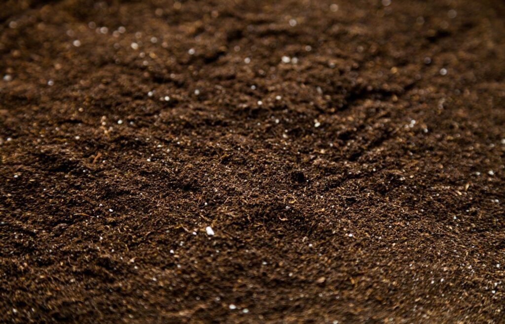 Soil Is Not Dirt: It Is a Living Ecosystem