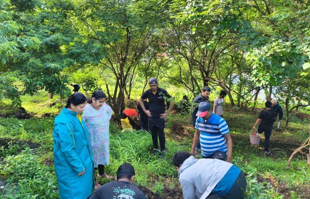 Role of NGOs in Bridging Urban Green Gaps