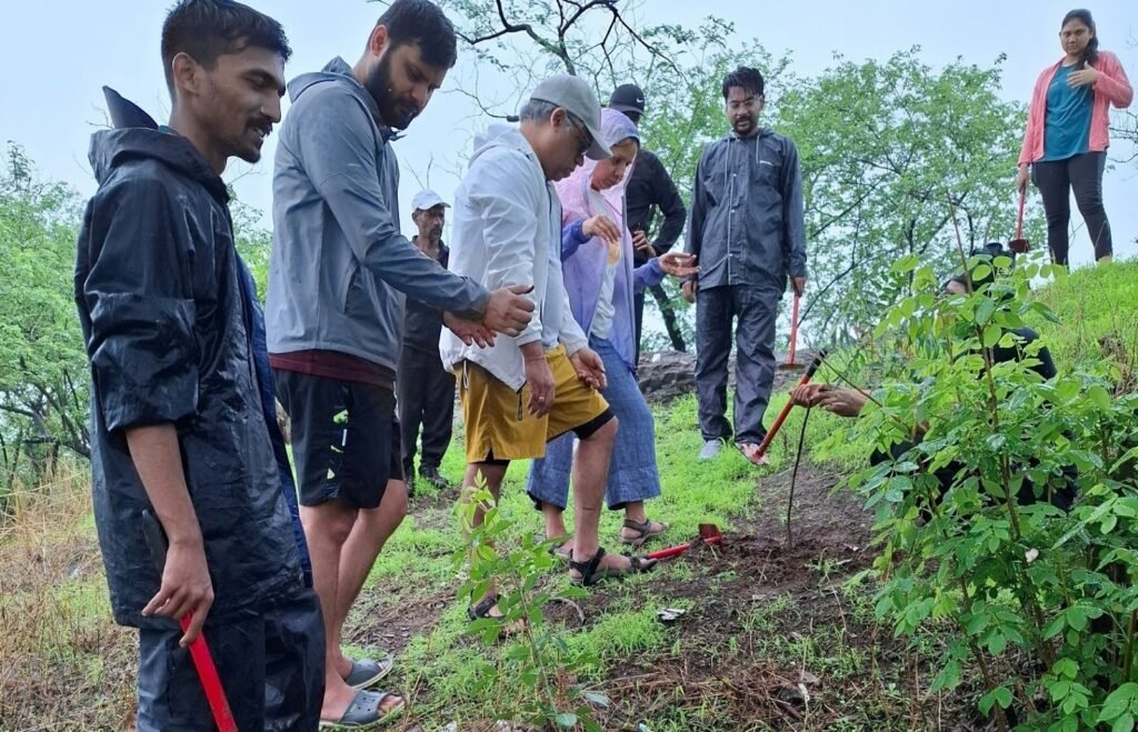 Why Tree Plantation Must Be Long-Term, Not One-Day Events