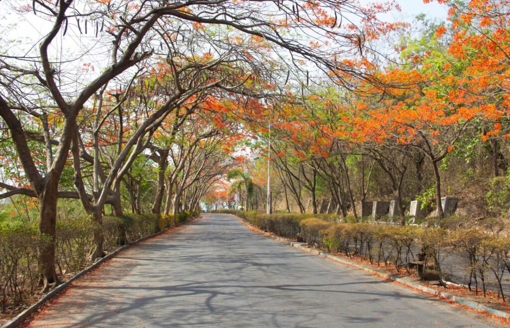 Trees: The Most Effective Solution to Urban Green Gaps