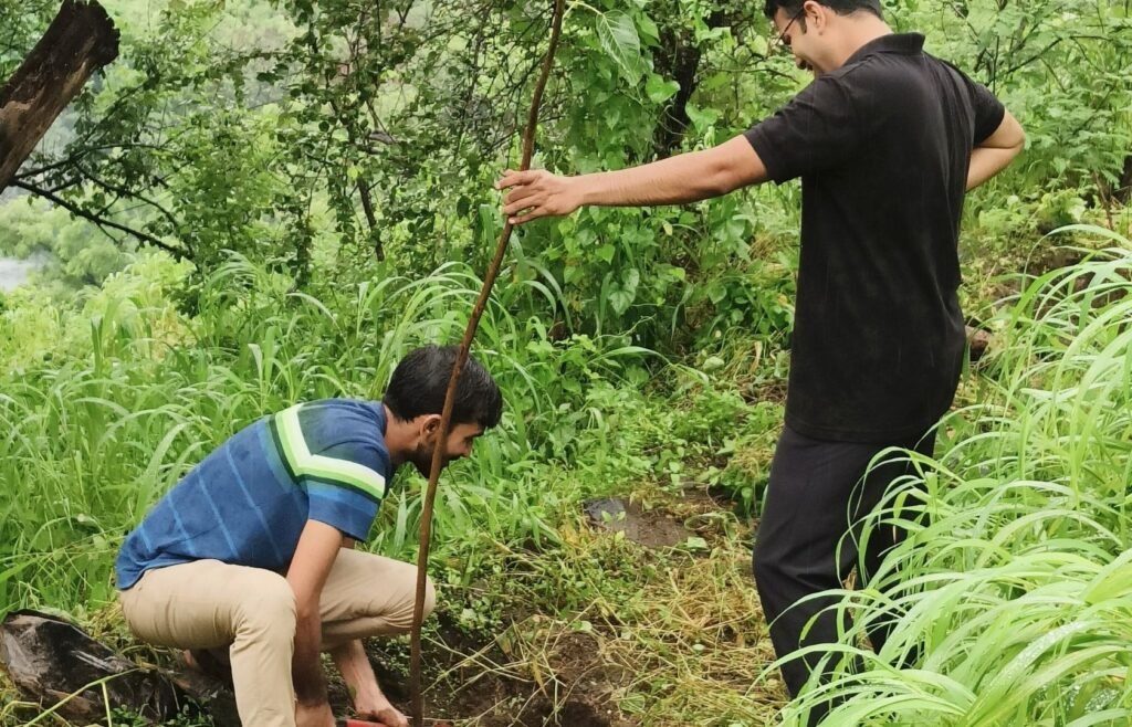 Tree Plantation Success Depends on Soil Microbiology