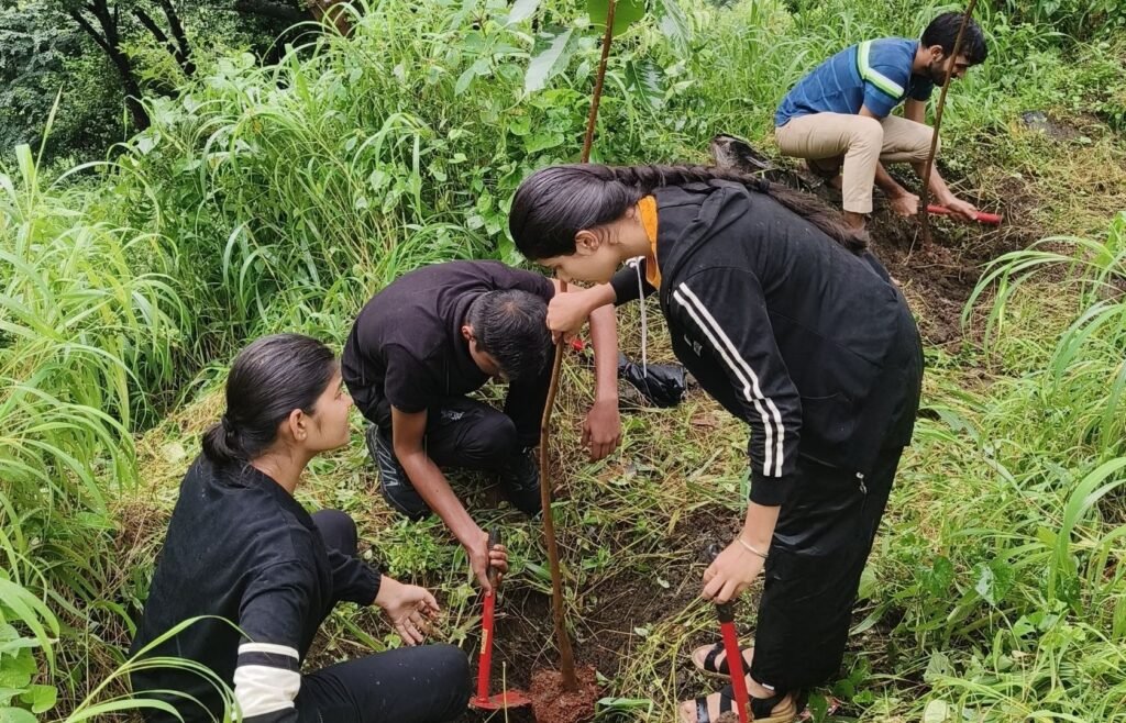 How Tree Plantation NGOs Can Support the Microbiome of Trees